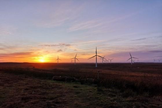 Whitelee_Windfarm_560x373